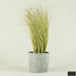 مزهرية العنبر الصحراوي الذهبي