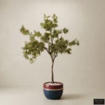 Artificial Japanese Maple Tree in Colored Ceramic Pot
