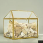 BRASS KEEPSAKE DISPLAY BOX